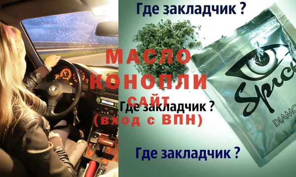 соль ск Новозыбков