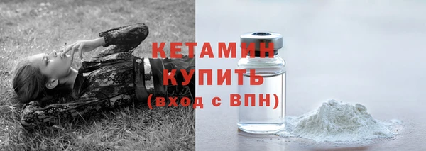 стафф Новодвинск