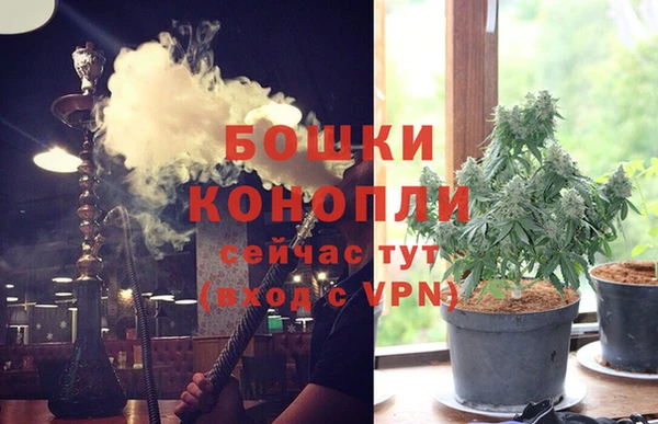 спайс Нея