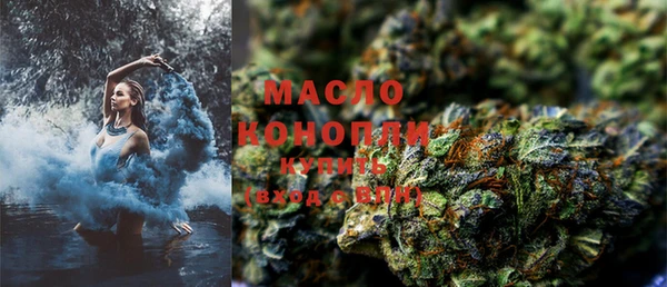 соль ск Новозыбков