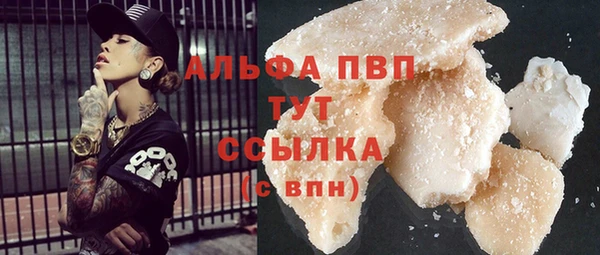 соль ск Новозыбков