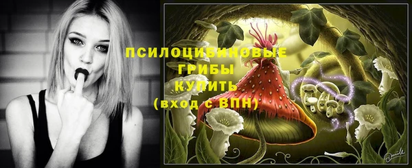 гашиш Новокубанск