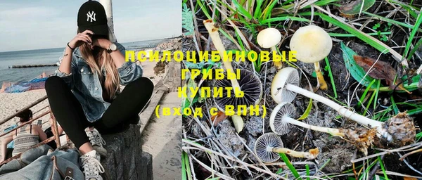 соль ск Новозыбков