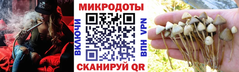 Галлюциногенные грибы Magic Shrooms сколько стоит Медынь